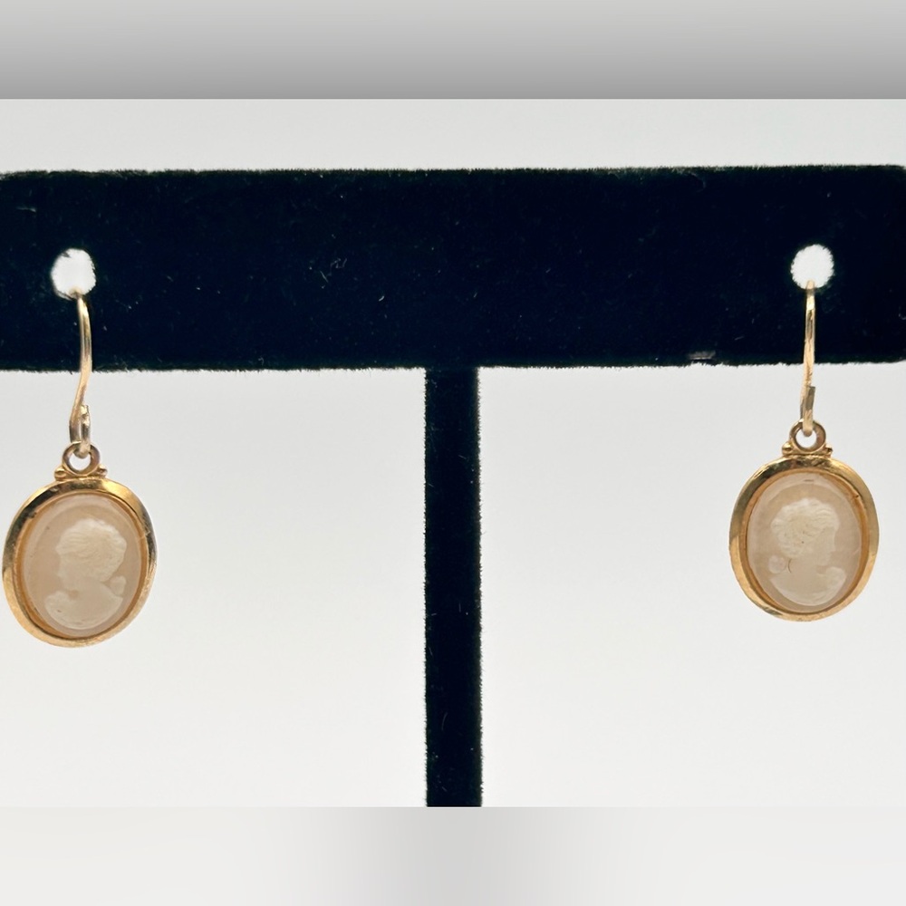 Cameo Dangle Fashion Earrings Acrylic Gold Tone Metal Oval 3/4" Modern